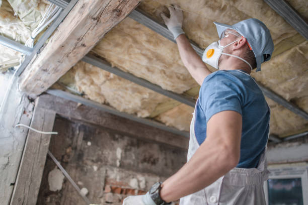 Best Commercial Insulation in Cedar Springs, MI