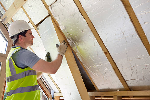 Best Insulation Materials and Products in Cedar Springs, MI