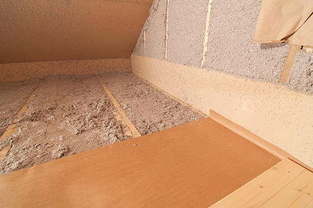 Best Insulation Maintenance and Repair in Cedar Springs, MI