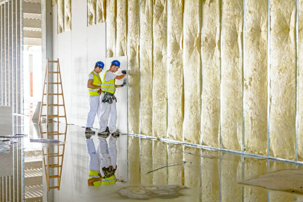 Best Insulation Installation Services in Cedar Springs, MI